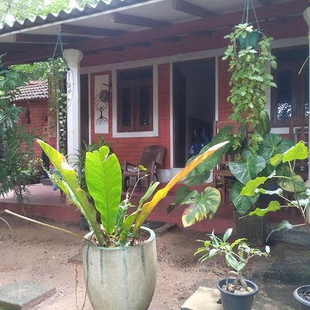 Angry Birds Homestay Хабарана Стая снимка