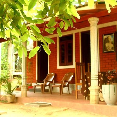Angry Birds Homestay Хабарана Екстериор снимка